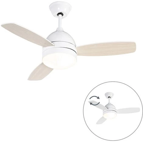 QAZQA Rotar - Ventilateur De Plafond Moderne - 2 Lumière - Ø 960 Mm - Blanc - Moderne - Éclairage Intérieur - Salon I Chambre I Cuisine I Salle à Manger - Blanc
