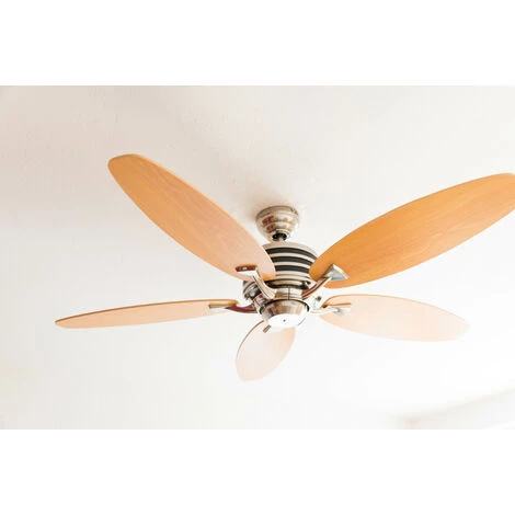 CASAFAN Ventilateur De Plafond Eco Gamma 103 Hêtre / Erable â Image 4