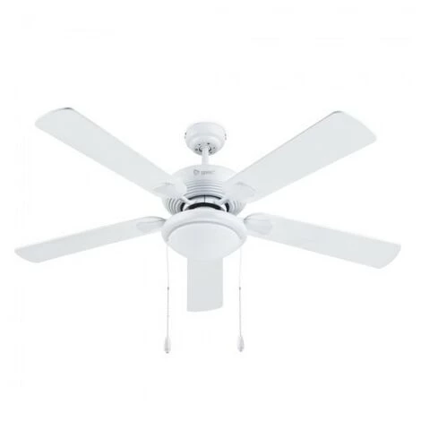 GSC Ventilateur De Plafond Avec Lumière 52 '5 Pales Bois Blanc